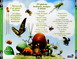 MINUSCULE LA VIE PRIVEE DES INSECTES VOL 2